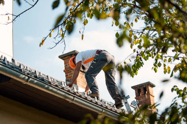 Best Flat Roof Repair Services  in Ashley, PA
