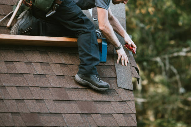 Roof Gutter Cleaning in Ashley, PA